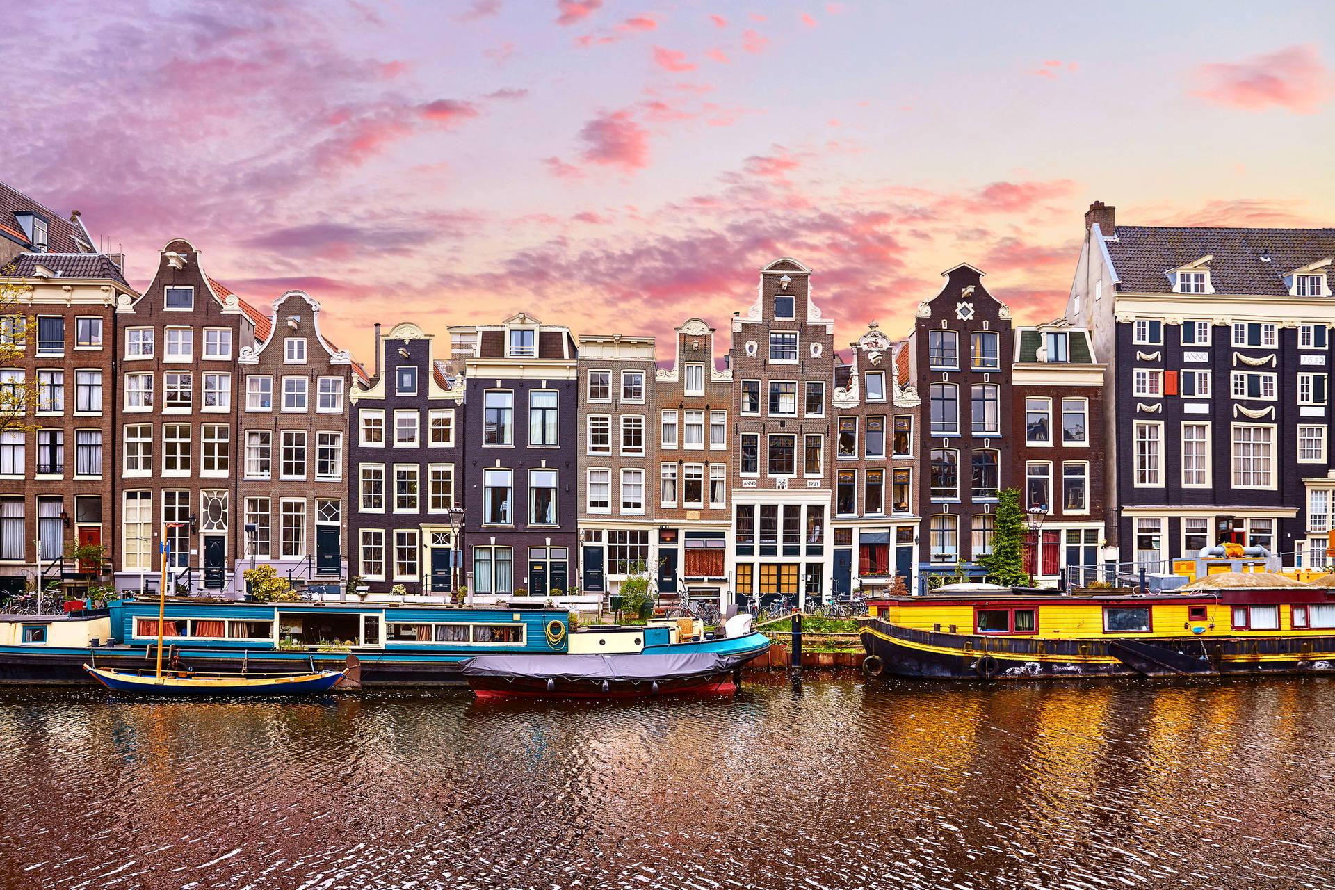 5 powodów, dla których warto przeprowadzić się do Holandii