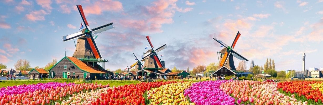 najlepsze oferty pracy w Holandii