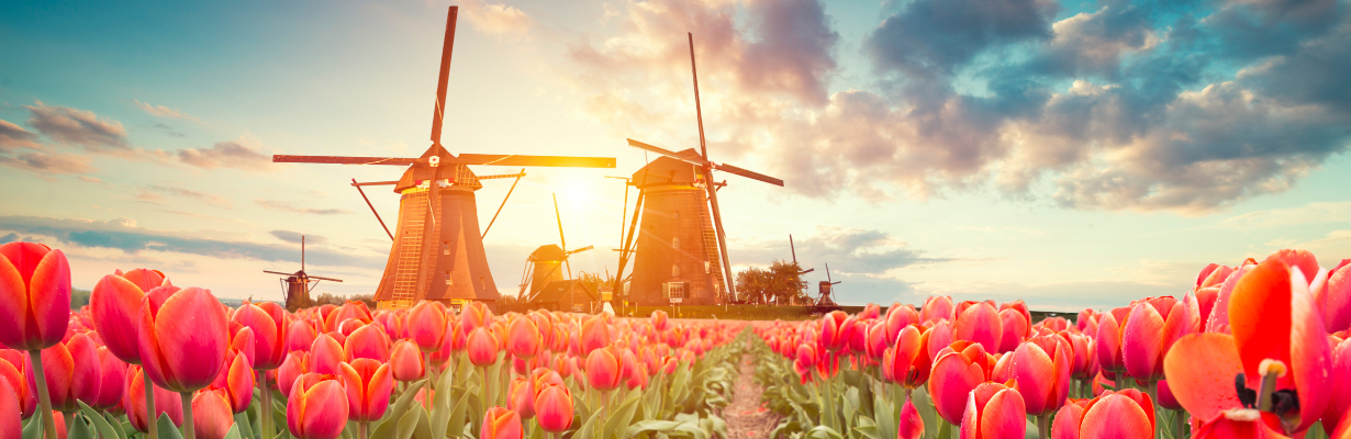 praca w Holandii - Czytaj więcej