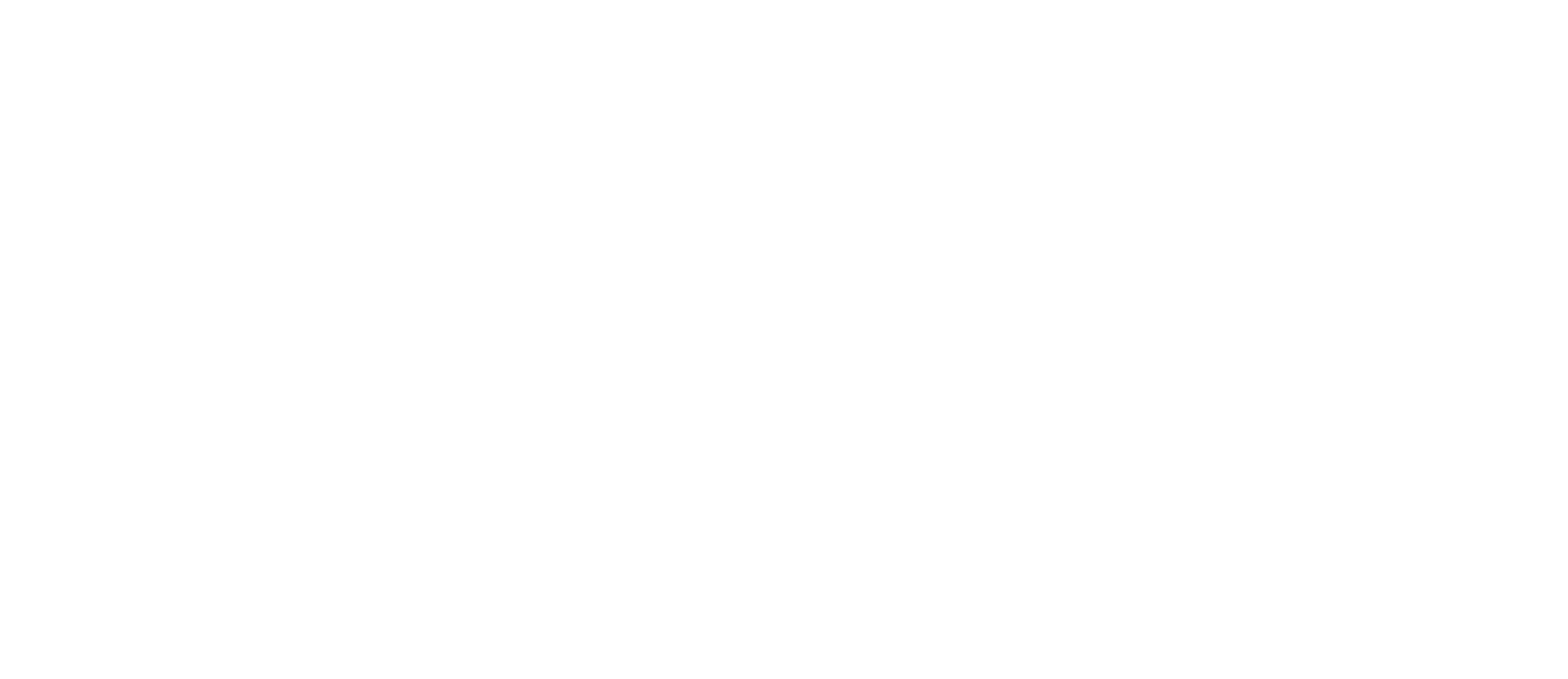 brand footer logo