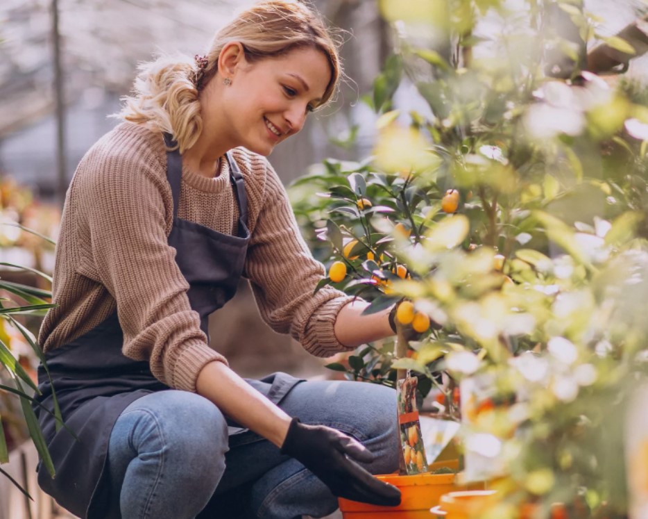 Meet Eurojob’s employers – Syngenta - Read more