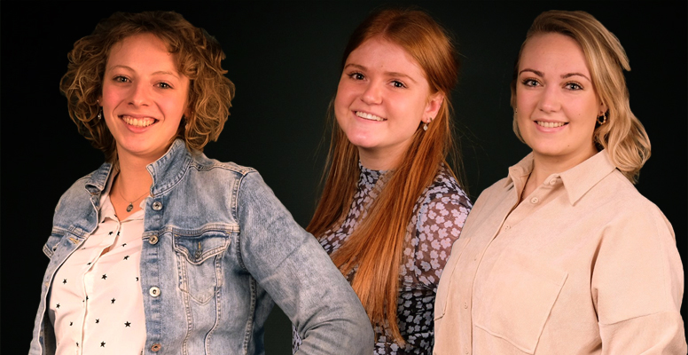 Team Effect Personeelsdiensten