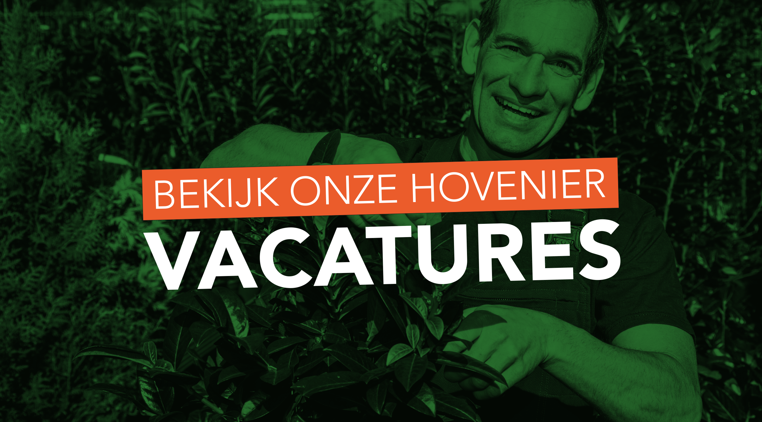 Nieuwsoverzicht - Vacatures