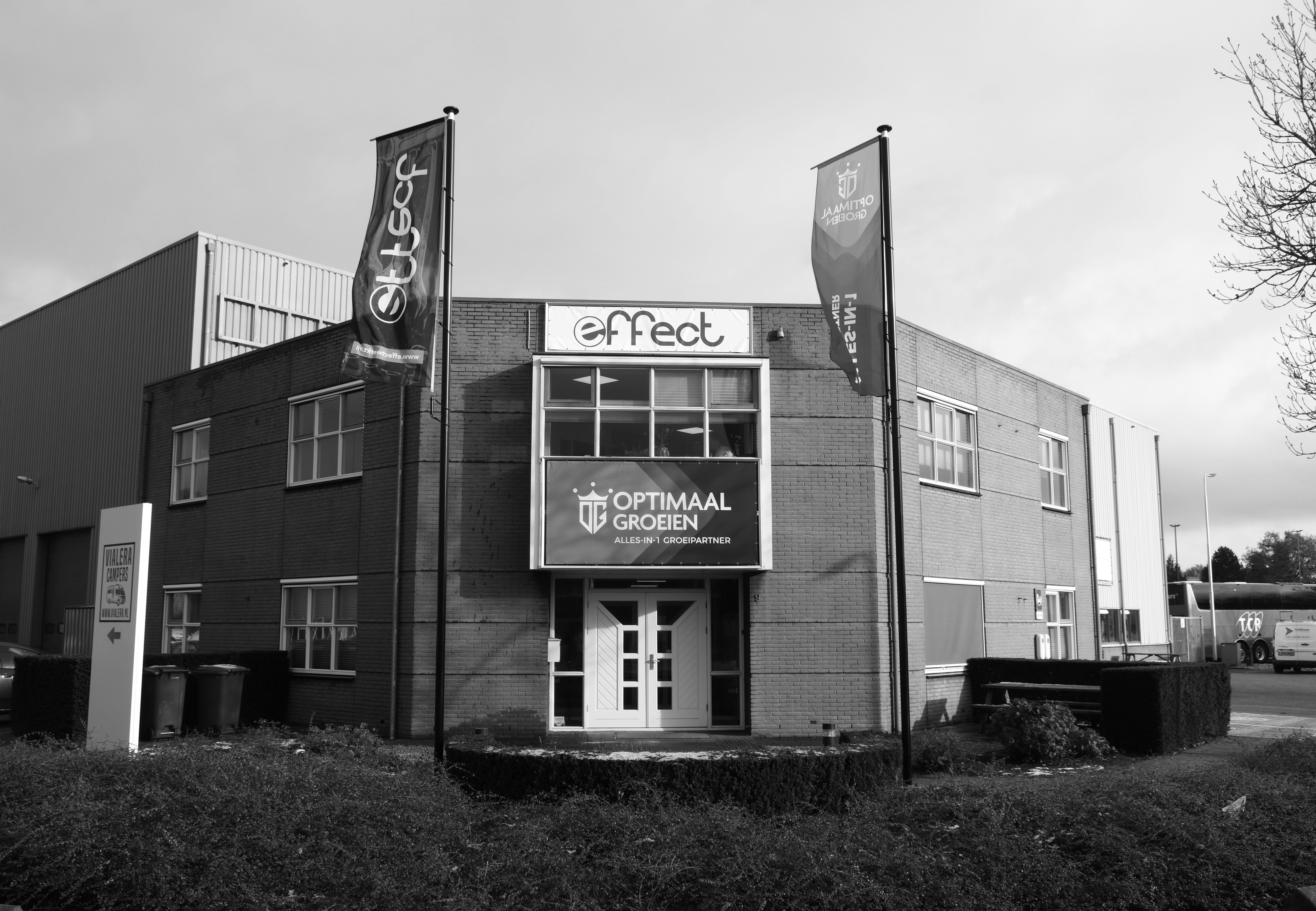 Effect - Raalte