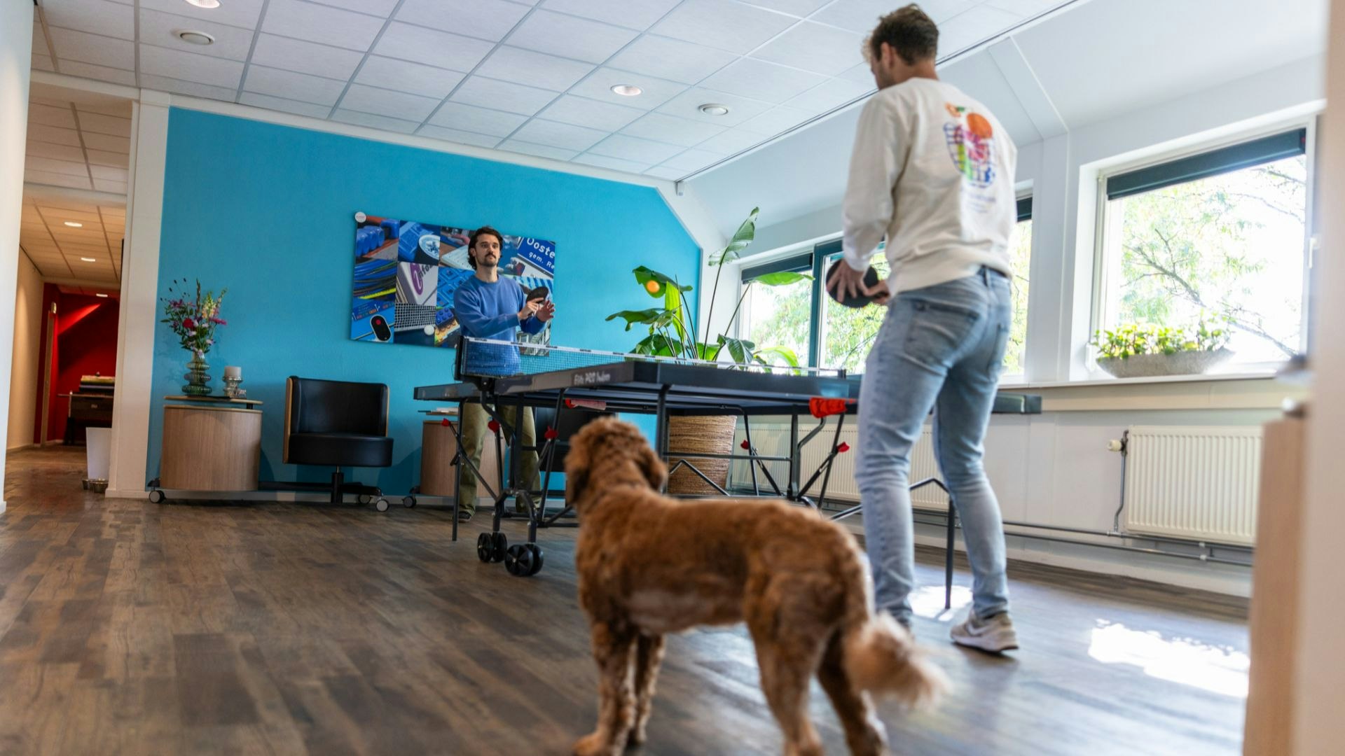 Senior Consultant Informatisering en Informatiehuishouding