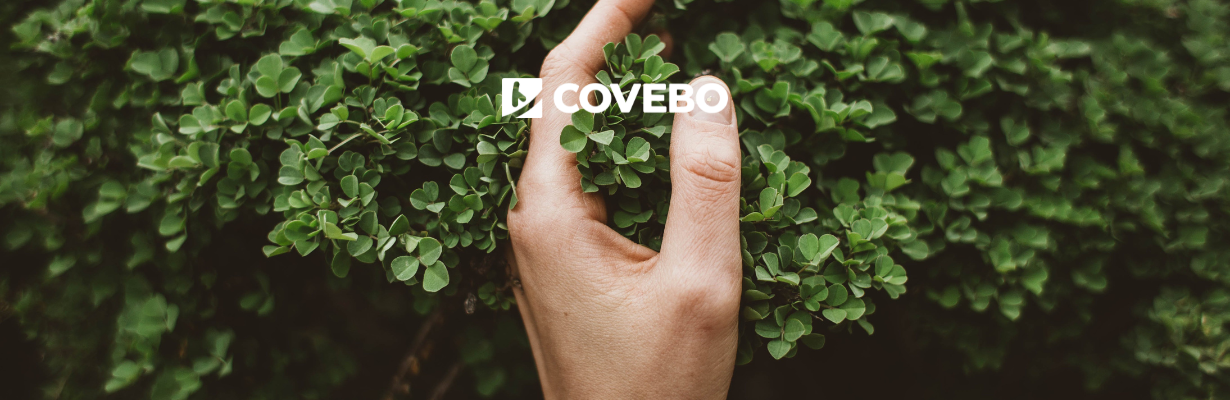 Inspiração Verde: Como a Holanda Está Moldando um Futuro Sustentável