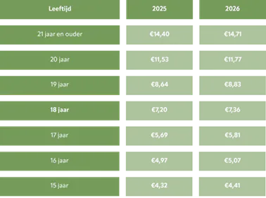 wat ga je verdienen per 1 januari 2026