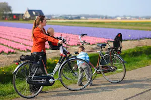 V Holandsku je bicykel kráľom