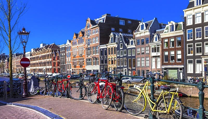 Hollandia albérlet